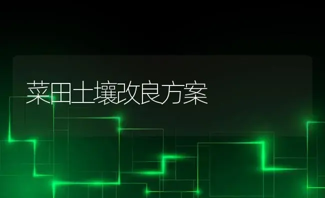 菜田土壤改良方案 | 植物科普