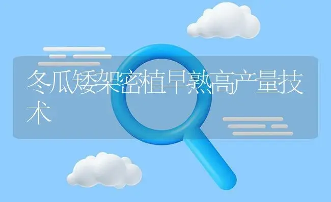 冬瓜矮架密植早熟高产量技术 | 植物百科