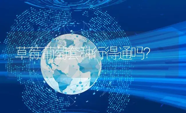 草莓葡萄套种行得通吗？ | 植物资料