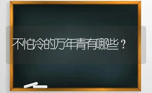 不怕冷的万年青有哪些？ | 植物问答