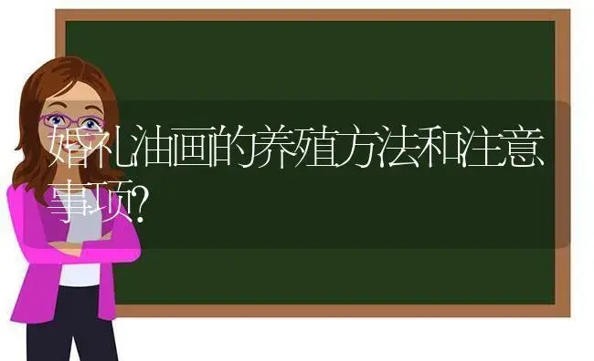 婚礼油画的养殖方法和注意事项？ | 植物问答