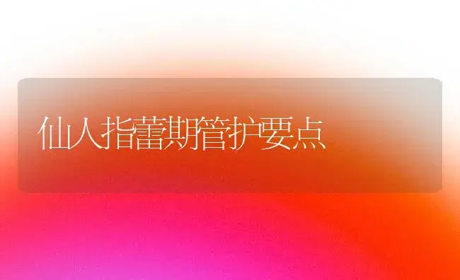 仙人指蕾期管护要点 | 植物知识