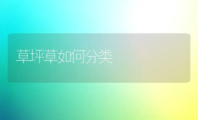 草坪草如何分类 | 植物科普