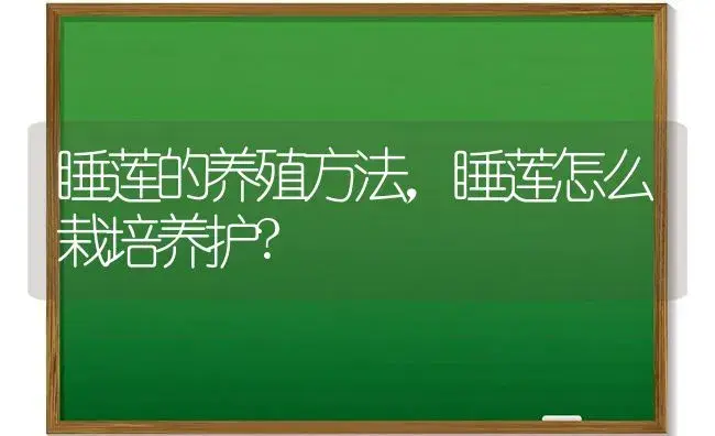 睡莲的养殖方法，睡莲怎么栽培养护? | 植物科普