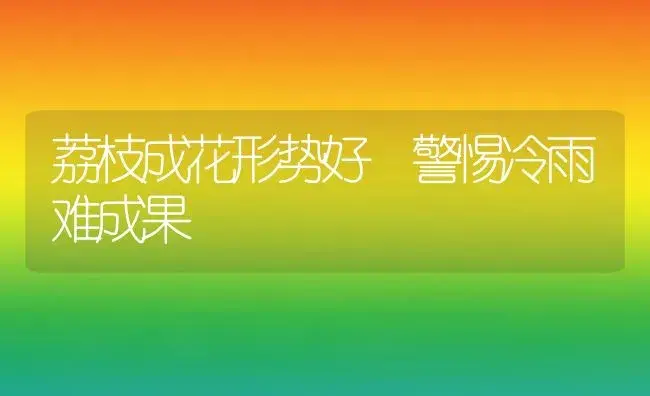 荔枝成花形势好 警惕冷雨难成果 | 植物科普