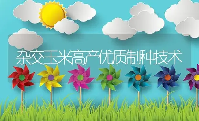 杂交玉米高产优质制种技术 | 植物资料