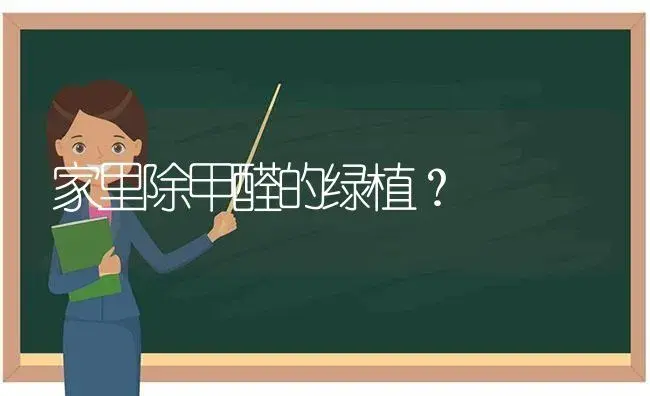 家里除甲醛的绿植？ | 植物问答