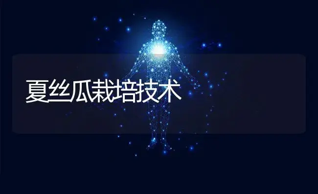 夏丝瓜栽培技术 | 植物科普