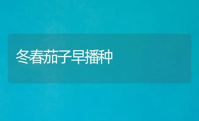 冬春茄子早播种 | 植物科普