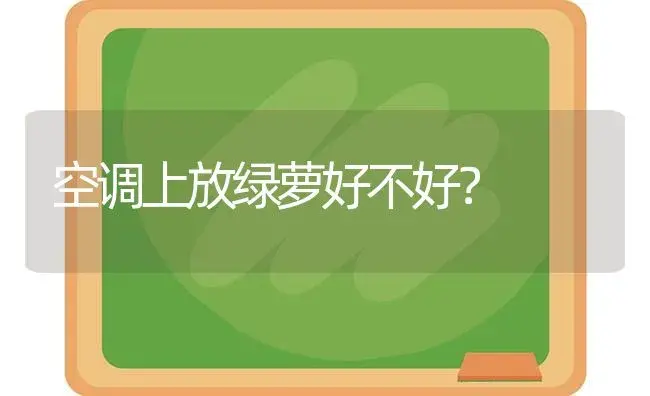 空调上放绿萝好不好？ | 植物问答