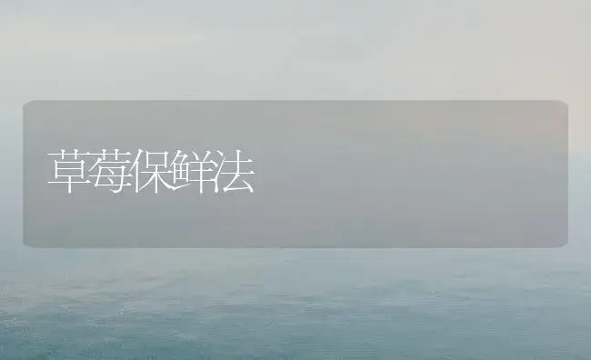 草莓保鲜法 | 植物科普