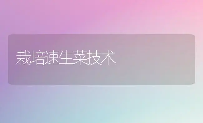 栽培速生菜技术 | 植物科普
