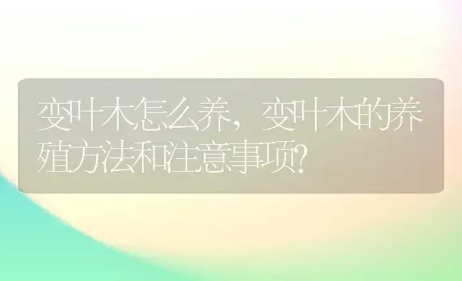 变叶木怎么养，变叶木的养殖方法和注意事项？ | 植物问答