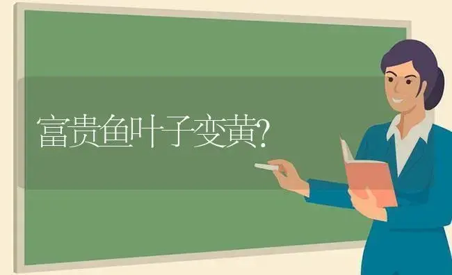 富贵鱼叶子变黄？ | 植物问答