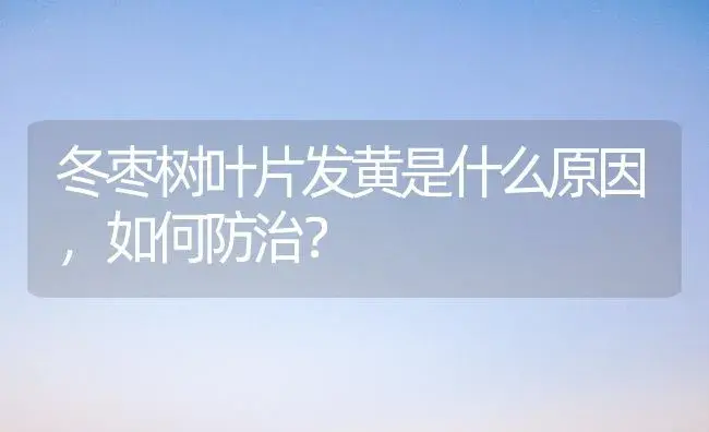 冬枣树叶片发黄是什么原因，如何防治？ | 植物科普