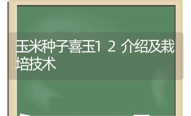 玉米种子喜玉12介绍及栽培技术 | 植物科普