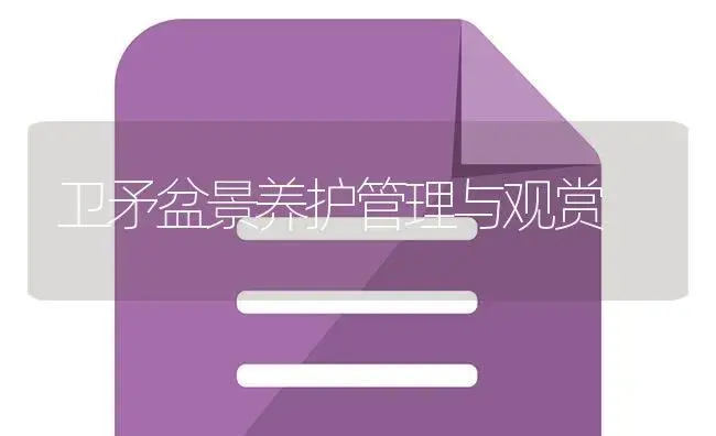 卫矛盆景养护管理与观赏 | 植物知识