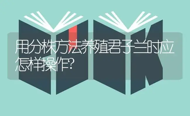 用分株方法养殖君子兰时应怎样操作? | 植物科普