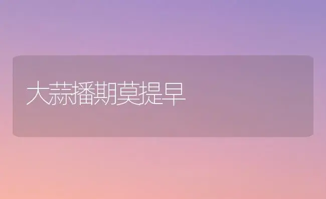 大蒜播期莫提早 | 植物百科
