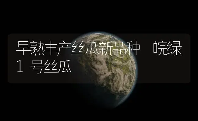 早熟丰产丝瓜新品种―皖绿1号丝瓜 | 植物百科