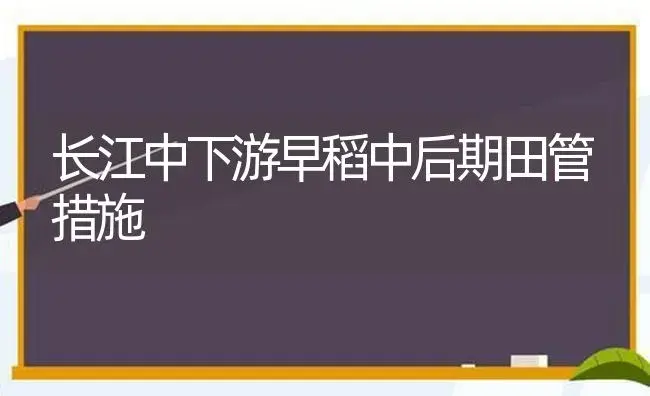 长江中下游早稻中后期田管措施 | 植物科普