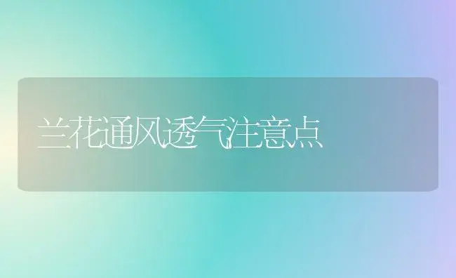 兰花通风透气注意点 | 植物科普