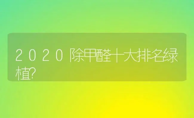 2020除甲醛十大排名绿植？ | 植物问答