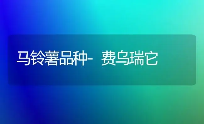 马铃薯品种-费乌瑞它 | 植物百科