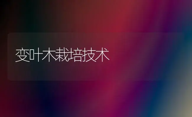 变叶木栽培技术 | 植物科普