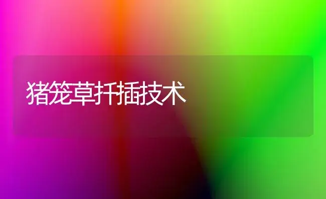 猪笼草扦插技术（图） | 植物科普