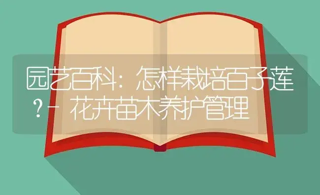 园艺百科：怎样栽培百子莲？-花卉苗木养护管理 | 植物知识