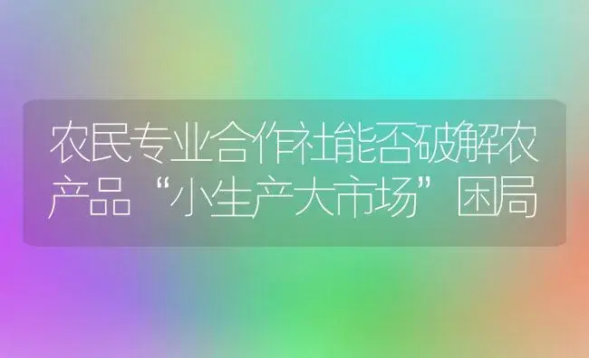 农民专业合作社能否破解农产品“小生产大市场”困局 | 植物百科