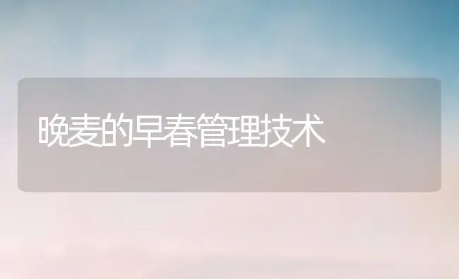 晚麦的早春管理技术 | 植物科普