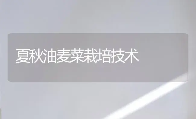 四大生态工程披绿津城 森林覆盖率年内将达18.5％-园林工程技术 | 植物百科