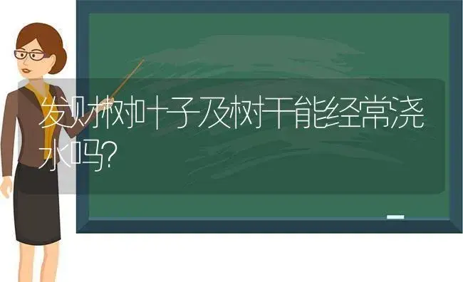 发财树叶子及树干能经常浇水吗？ | 植物问答