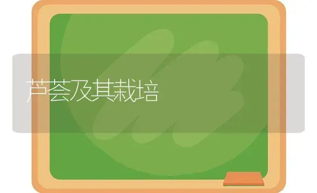 芦荟及其栽培 | 植物科普