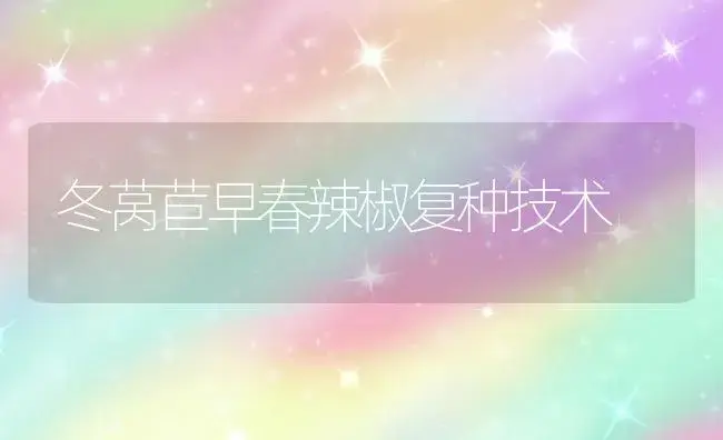 冬莴苣早春辣椒复种技术 | 植物科普