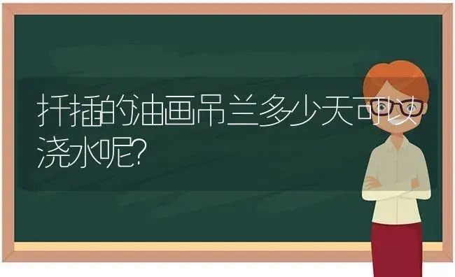 扦插的油画吊兰多少天可以浇水呢？ | 植物问答