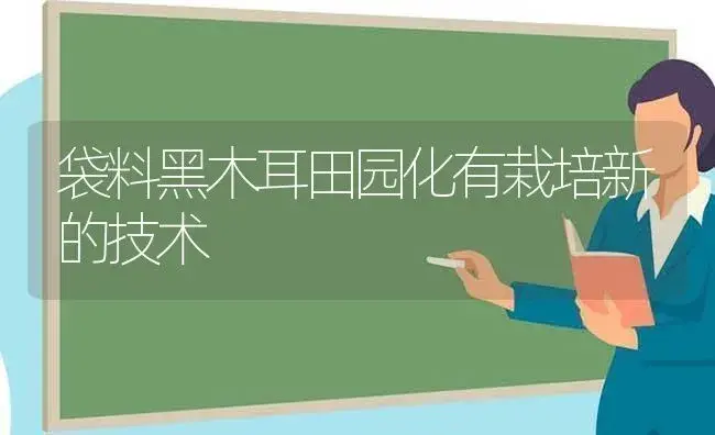 袋料黑木耳田园化有栽培新的技术 | 植物科普