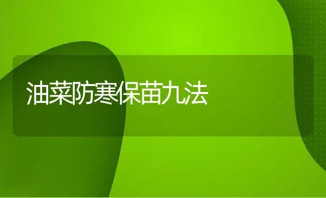 油菜防寒保苗九法 | 植物科普