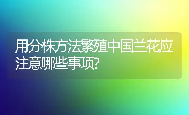 用分株方法繁殖中国兰花应注意哪些事项? | 植物知识