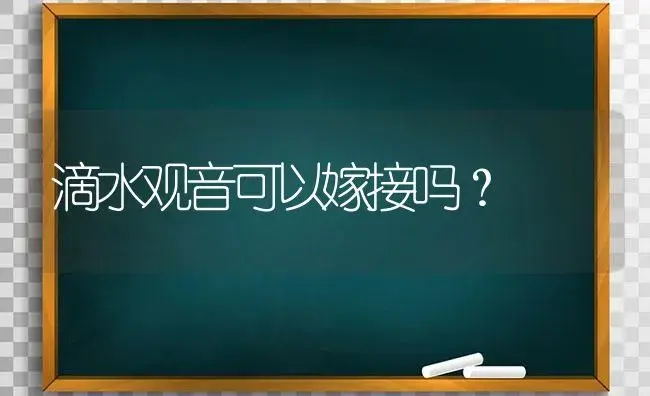 滴水观音可以嫁接吗？ | 植物问答