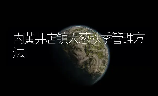 内黄井店镇大葱秋季管理方法 | 植物百科