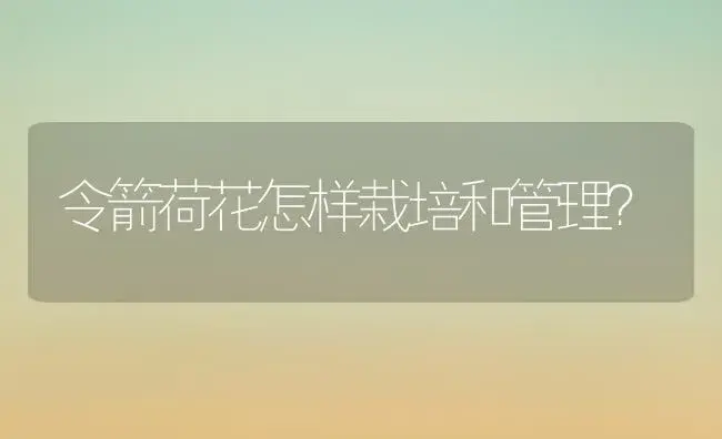 令箭荷花怎样栽培和管理？ | 植物科普