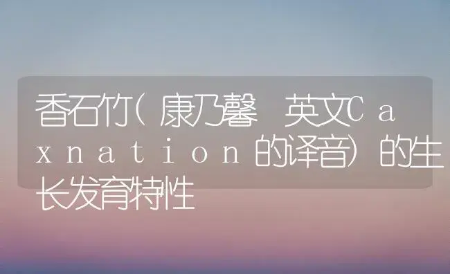 香石竹(康乃馨 英文Caxnation的译音)的生长发育特性 | 植物知识