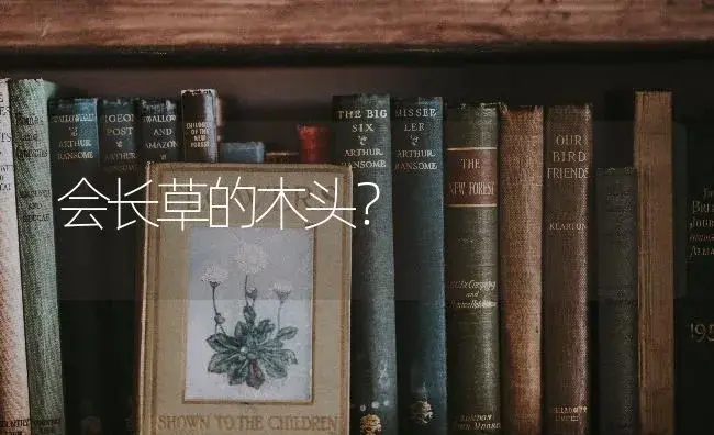 会长草的木头？ | 植物问答