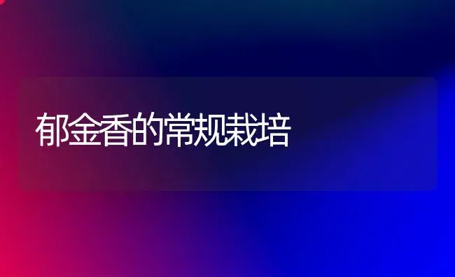 郁金香的常规栽培 | 植物知识