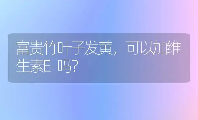 富贵竹叶子发黄，可以加维生素E吗？ | 植物问答