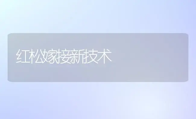 红松嫁接新技术 | 植物知识