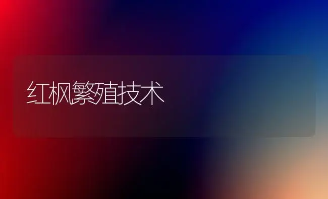 红枫繁殖技术 | 植物科普